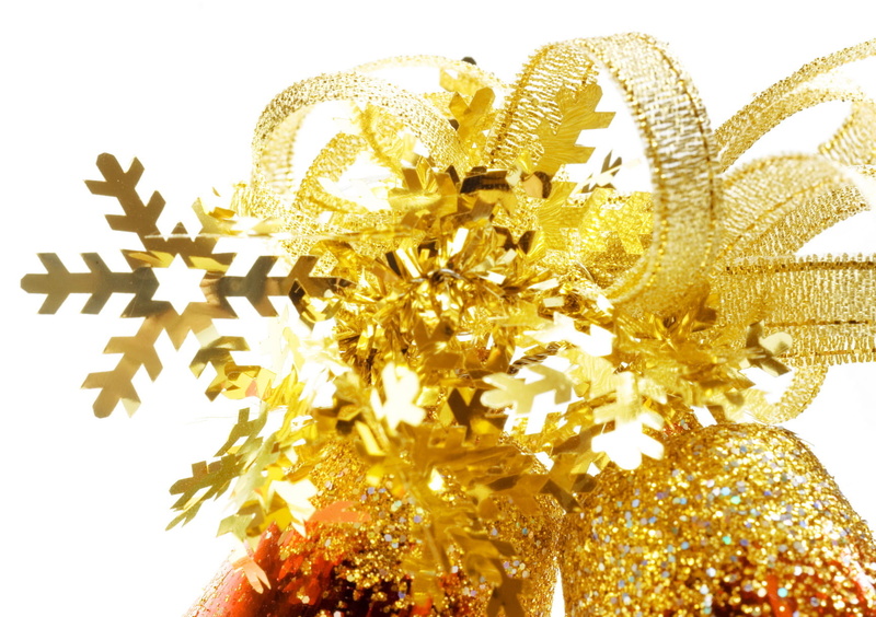 growth, vulnerability, merry, cut out, decor, plant, stars, flower, no people, holiday, indoors, flower head, celebration, close-up, decoration, beauty in nature