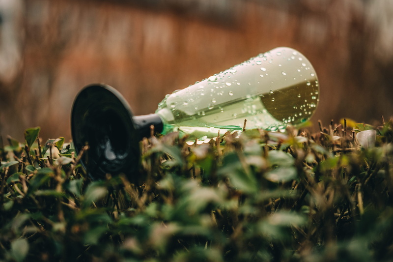 green color, day, plant part, drop, 4K, vegetable, growth, field, land, champagne, rain, close-up, leaf, water, selective focus, wet, newyear, plant, new year