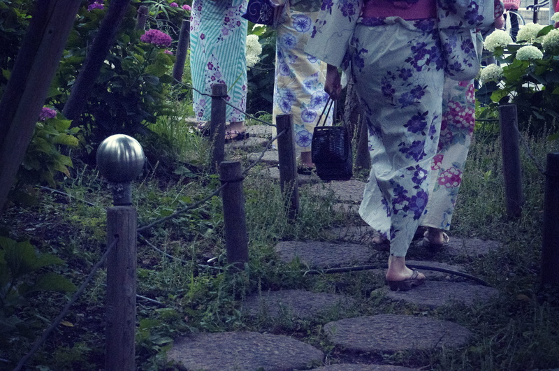 sumida park, tree trunk, standing, people, trunk, kimono, real people, human leg, girl, steppingstone, day, women, japan, taitō, land, park, low section