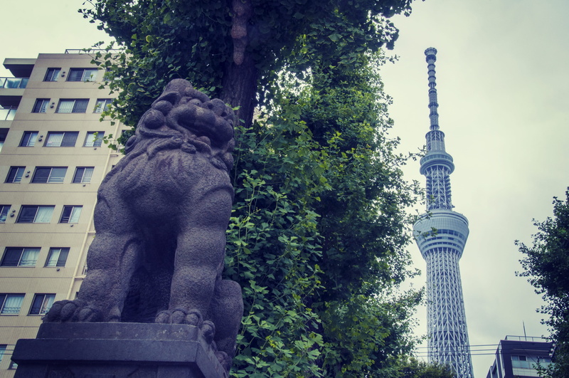 shrine dog, art and craft, tall - high, low angle view, tokyo skytree, 4K, shrine, architecture, ushijima shrine, travel destinations, tree, city, statue