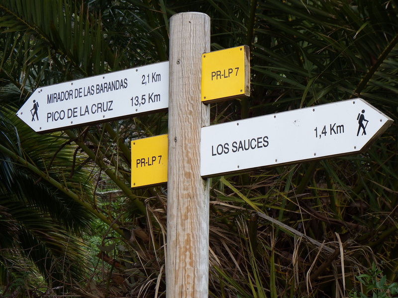 no people, nature, script, grass, 4K, information sign, guidance, cc0, western script, sign, message, wood - material, field, llano clara, communication