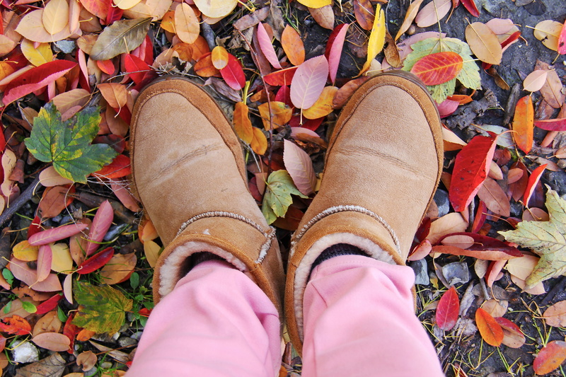 personal perspective, green, plant part, day, happy, lifestyles, autumn, yellow, dry, stepping, shoe, human leg, leaves, high angle view, beautiful, red