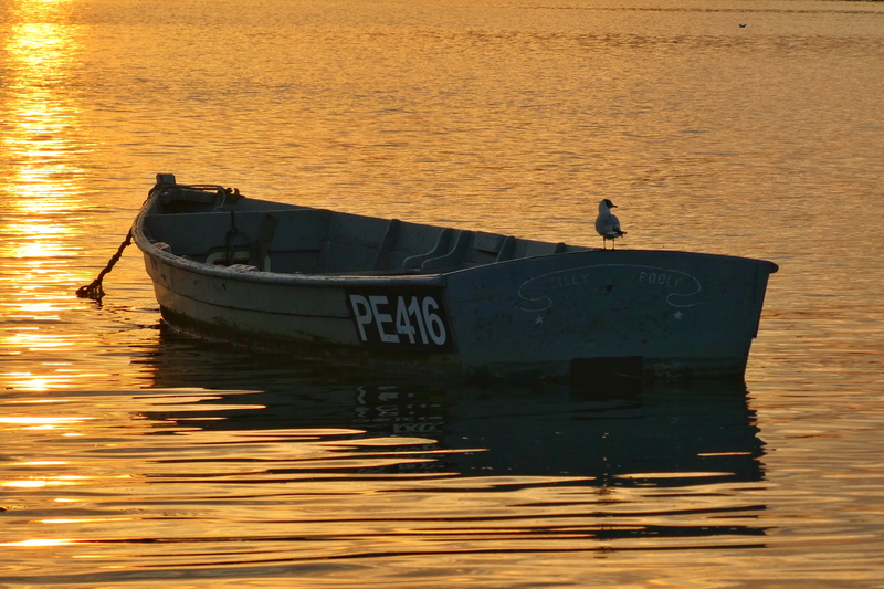 nature, 5K, reflection, boat, moored, sky, water, nautical vessel, tranquility, golden, orange color, scenics - nature, silhouette, transportation, no people