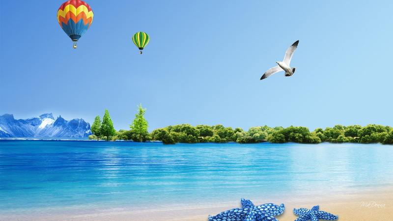 water, clear sky, animal wildlife, tree, sky, land, animal, no people, holiday, animal themes, freedom, mid-air, balloon, outdoors, nature, 1080P, trip