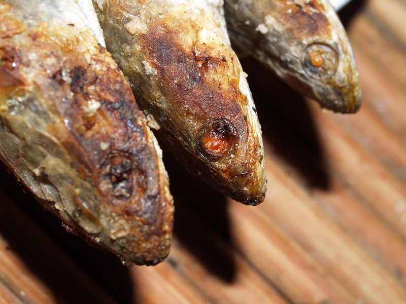 savory, dish, nobody, barbecued, lunch, boiled, outside, barbecue, eggplant, animal, health, cuisine, grill, snakehead, meal, fish, salted, thailand, fresh