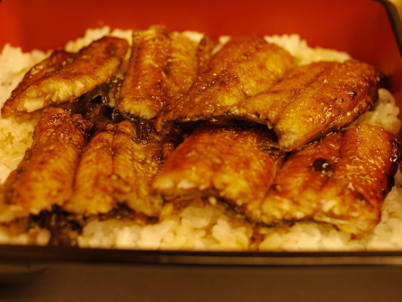 tray, dish, grilled, close-up, top, roast chicken, indoors, serving size, freshness, no People, selective focus, gourmet, unhealthy eating, broiled eel