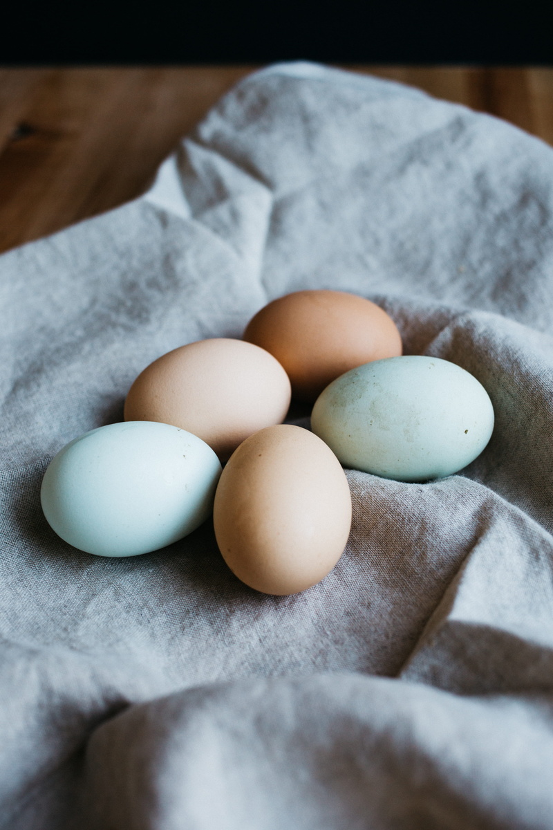 vulnerability, farm fresh, indoors, breakfast, raw food, wellbeing, white color, broil, textile, high angle view, farm, white, egg, eggs, photography, lunch