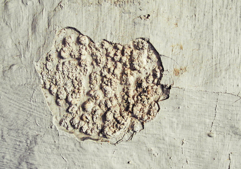 drawing, healthy eating, tar, wax seal, still life, preparation, no people, high angle view, table, indoors, limestone, nature, fossil, freshness, pattern