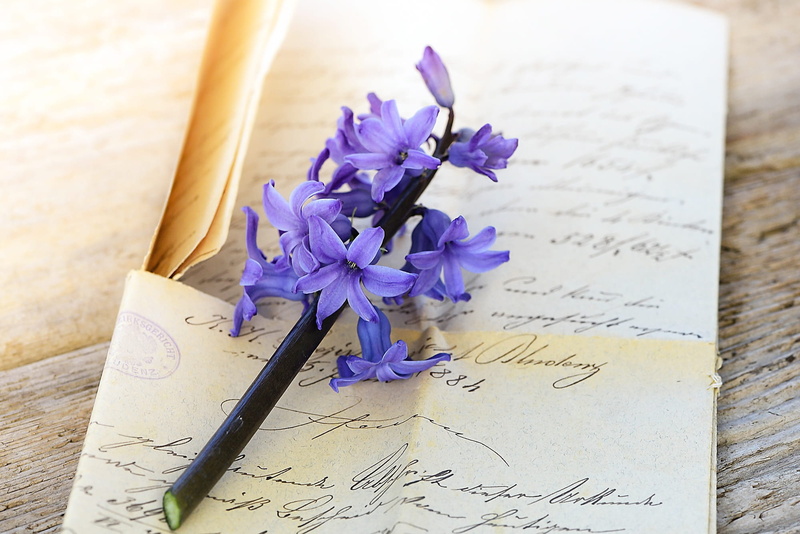 letters, purple, old letter, stationery, light, indoors, 1080P, handwriting, fragility, close-up, vulnerability, sunlight, flower head, romantic, close