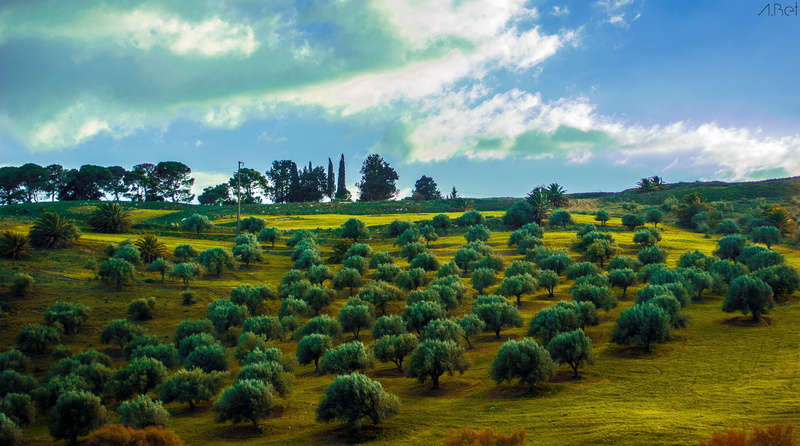 meadow, landscape, daytime, hill, sunlight, cloudy, blue sky, green, scenics, rural Scene, field, green Color, tree, outdoors, 5K, mountain, nature, sunset
