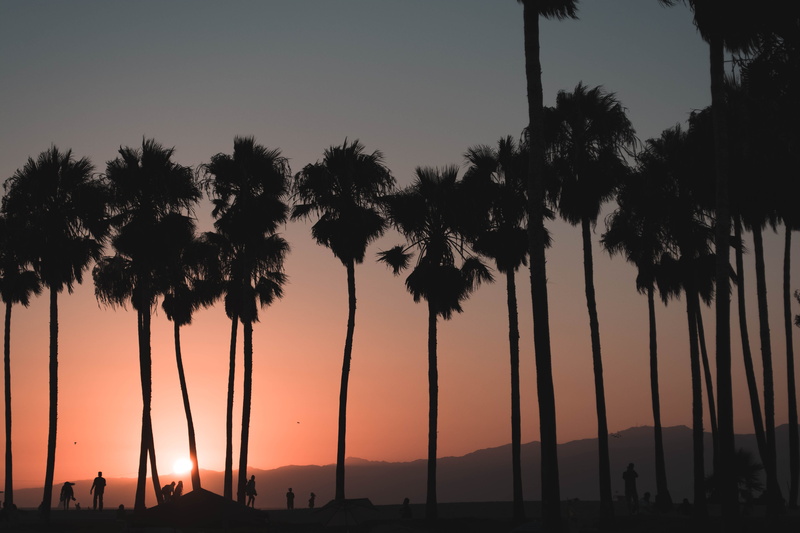 tropical climate, trunk, outdoors, red sky, venice beach, light, person, tree trunk, silhouette, scenics - nature, nature, sunset, abies, no people, tranquility