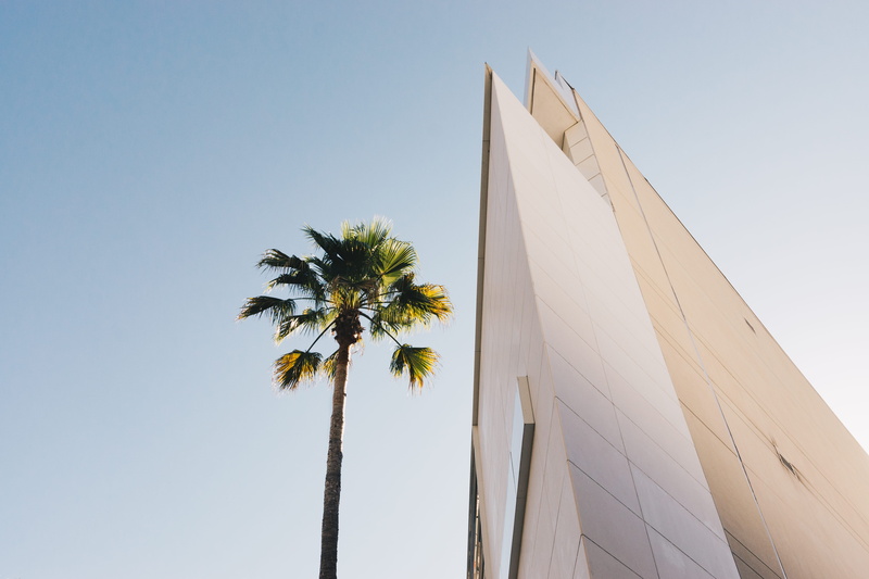 beverly hill, day, building Exterior, travel Destinations, point corner, city, bottom, building, californium, blue, palm, 5K, architectural, famous Place