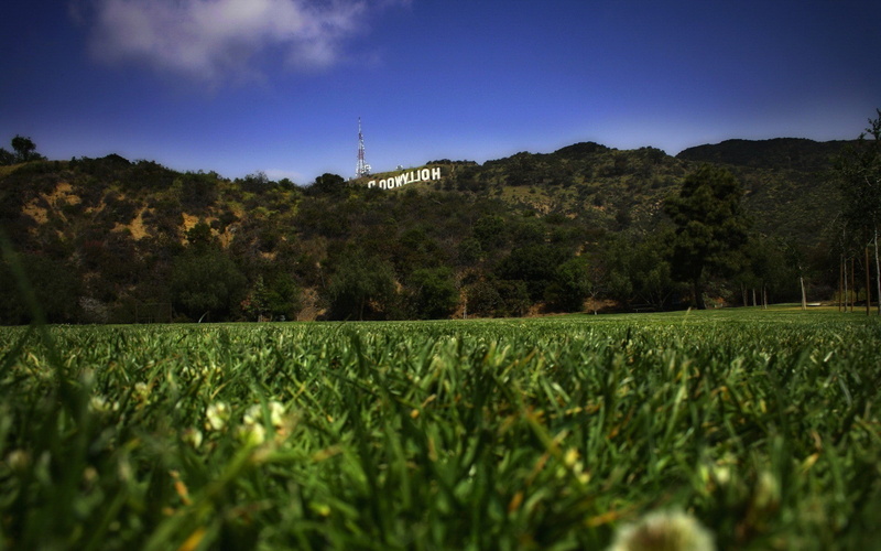 land, landscape worms eye view grass hollywood signs hill california, growth, landscape, outdoors, green color, scenics - nature, field, environment, rural scene