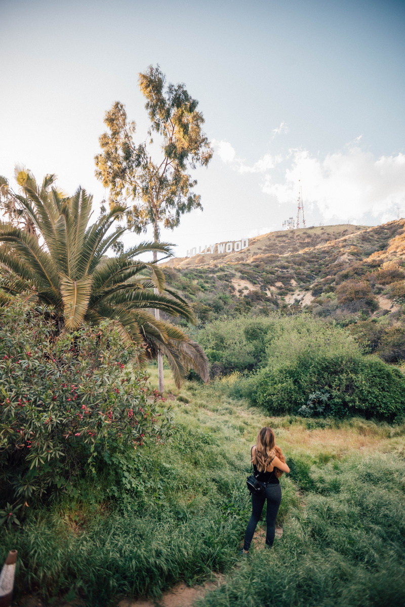 sunlight, scenics, nature, landscape, happiness, hollywood sign, outdoors, lifestyles, caucasian Ethnicity, travel, greenery, holding, green, female, tourism