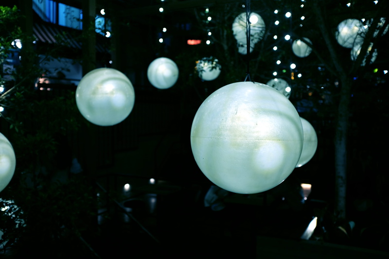 imagine, party, night, magic, circle, shape, tree, explore, float, fun, adventure, lighting equipment, reflection, incidental people, transparent, lights