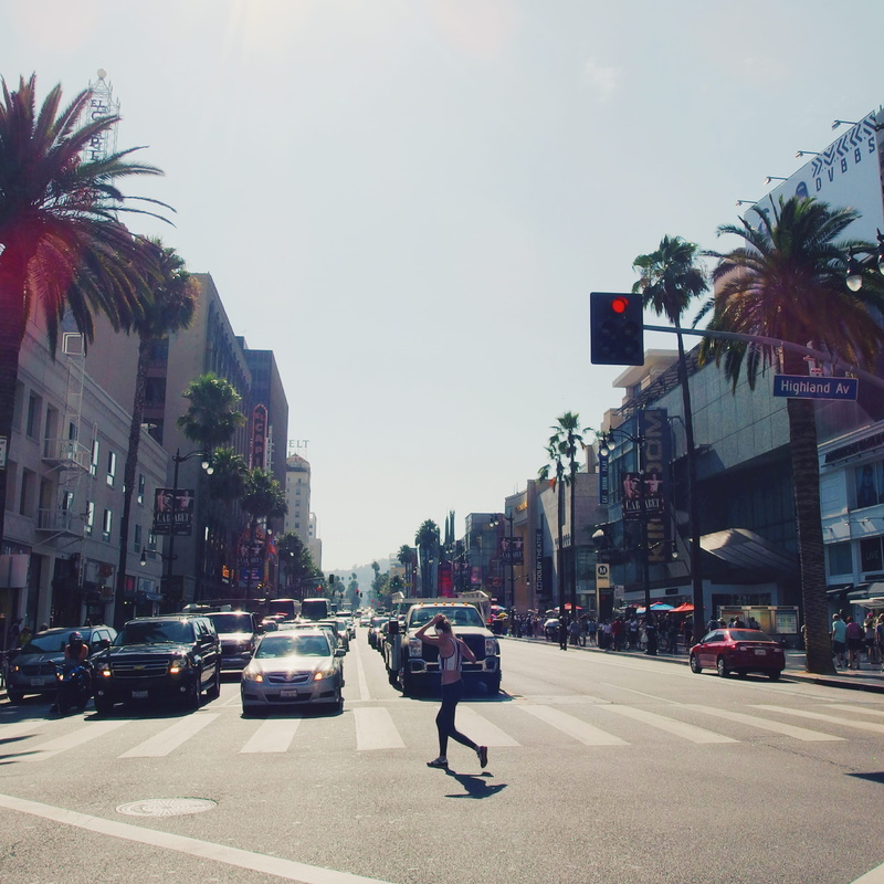 city life, motor vehicle, outdoors, palmtree, tropical climate, losangeles, transportation, us, people, la, palm, street, mode of transportation, sky, 2K