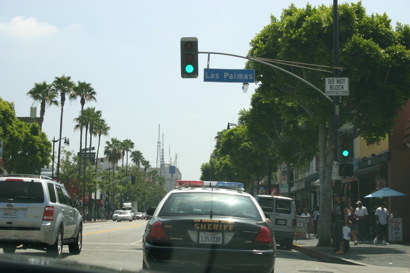stoplight, symbol, mode of transportation, communication, direction, outdoors, palm trees, road signal, usa, fun, tree, street, green, 2K, sign, policy