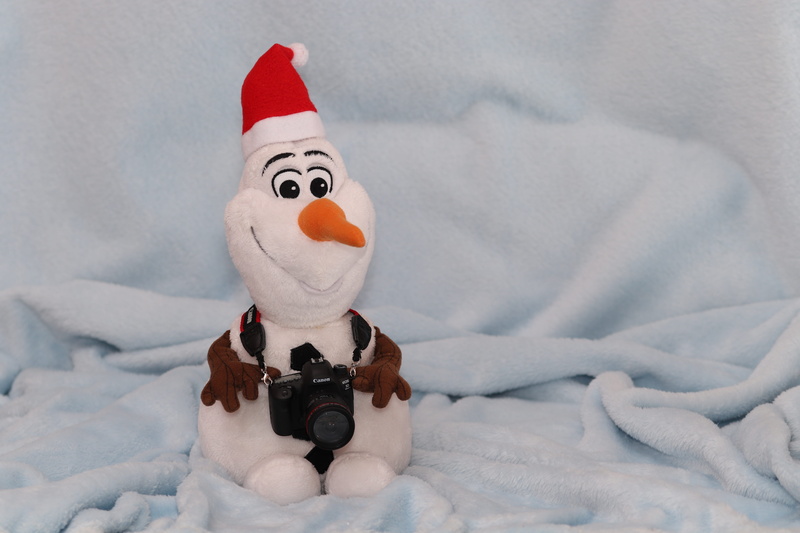 ice queen, children toys, santa claus, snow, santa hat, white color, winter, christmas motif, creativity, christmas, hat, kuscheldecke, christmas picture