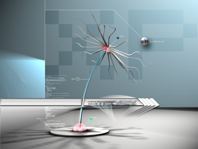 paper, XP, comp, hd, laser, technology, 480P, flower, art