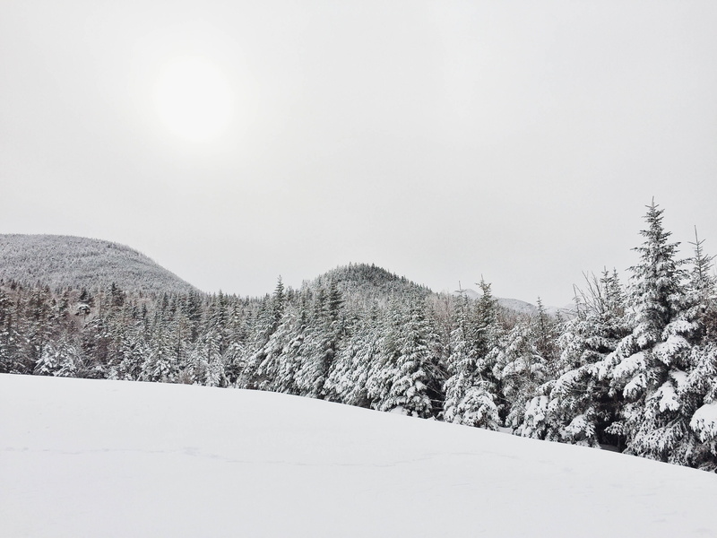 nature, outdoors, landscapes, tranquil Scene, pine tree, frozen, daytime, snowing, non-Urban Scene, mountain, 2K, snowcapped mountain, cold - Temperature