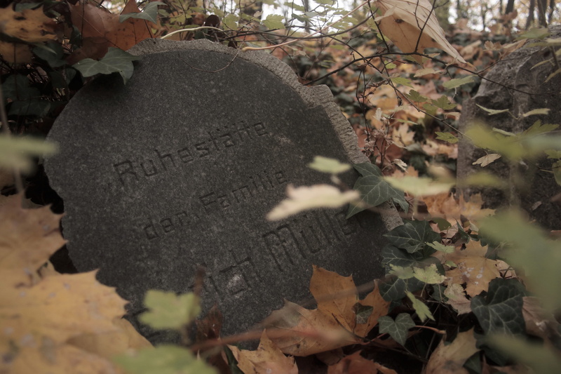 western script, graves, november, the tomb of, 5K, grave, message, close-up, communication, text, snitch list, religion, outdoors, nature, sadness, plant