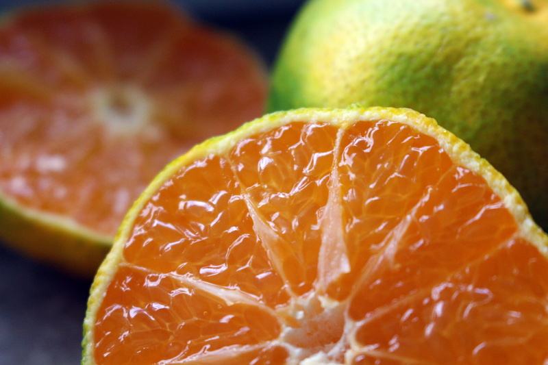 frisch, dieting, studio shot, healthy lifestyle, close-up, antioxidant, turkish, slice, yellow, food, close, fruit, turkey, organic, orange - fruit, healthy eating