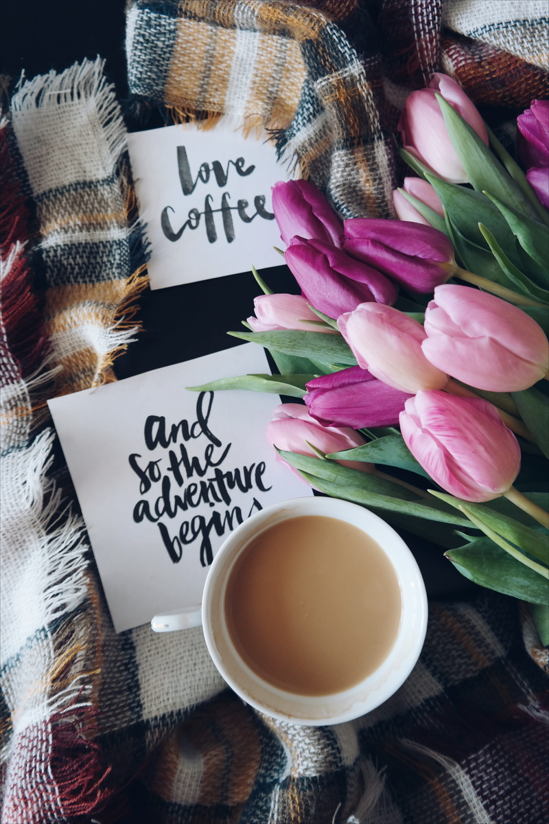 flower, still life, nature, communication, flowers, mug, purple, beauty in nature, indoors, cards, caffeine, high angle view, caligraphy, no people, drink