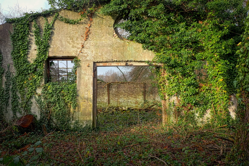 gray, lapsed, built structure, abandoned, unused, outdoors, decay, masonry, plant, obsolete, leave, 4K, lost places, forget, run-down, ruin, transience