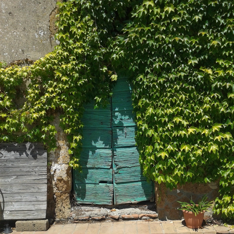 italy, barn, vegetation, stable, entrance, ivy, day, doors, old, building exterior, 1080P, architecture, safety, tree, outdoors, nature, building, double