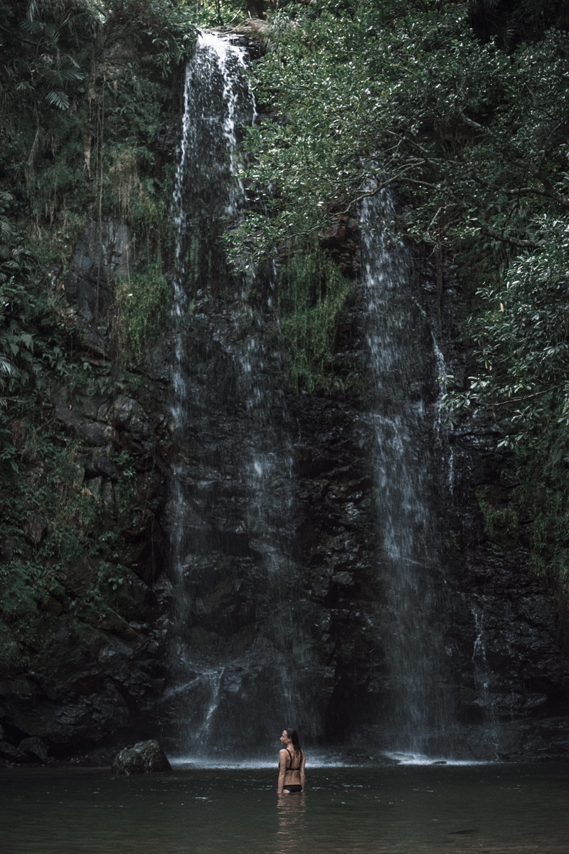 flowing, beauty in nature, motion, power in nature, lifestyles, jungle, tree, splashing, rainforest, blurred motion, 2K, long exposure, land, waterfall