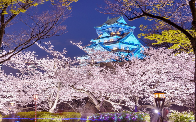 Osaka, 1080P, Oska Castle, Osaka Castle, Spring, Japan, Castles