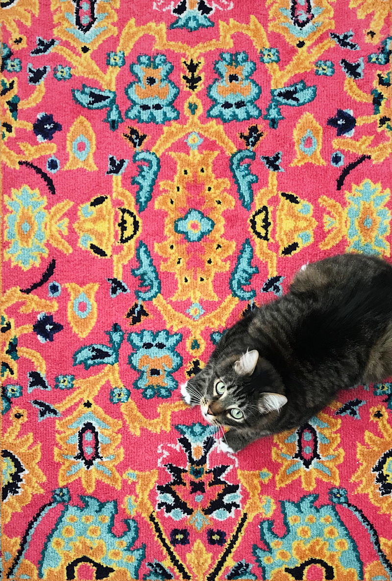paw, feline, carpet - decor, shopping, iphone, multi colored, interior, cozy, close-up, florida, 2K, relaxation, animal, floral pattern, calm, bohemian