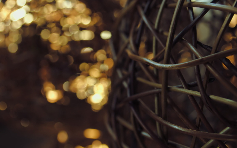 transportation, nature, widescreen, wire, outdoors, growth, pattern, ubuntu, cages, bicycle, plant, system, dry, 1080P, illuminated, land vehicle