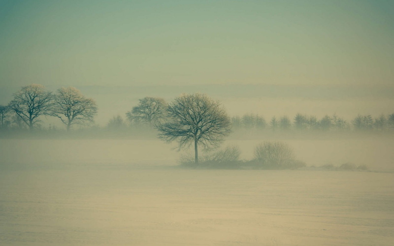 cold temperature, landscape, system, no people, hazy, tree, plant, fog, early, land, widescre, field, morning, nature, scenics - nature, 1080P, outdoors