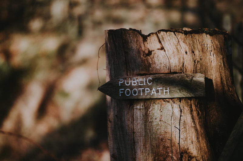 wood, script, 4K, western script, inscription, close-up, nature, information, wood - material, tree, tree trunk, no people, footpatch, trunk, communication