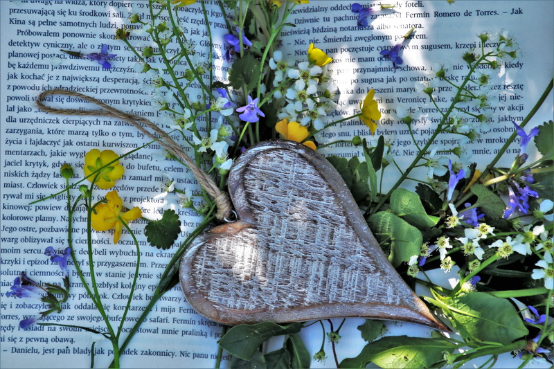 flourishing, closeup, bloom, vacations, leaves, close-up, reading, vulnerability, wildflowers, macro, surrounded, small flowers, fragility, outdoors, day