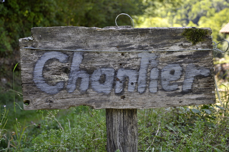 day, signage, sign, western script, panel, field, message, trunk, grass, capital letter, outdoors, nature, post, plant, information, worn, information sign