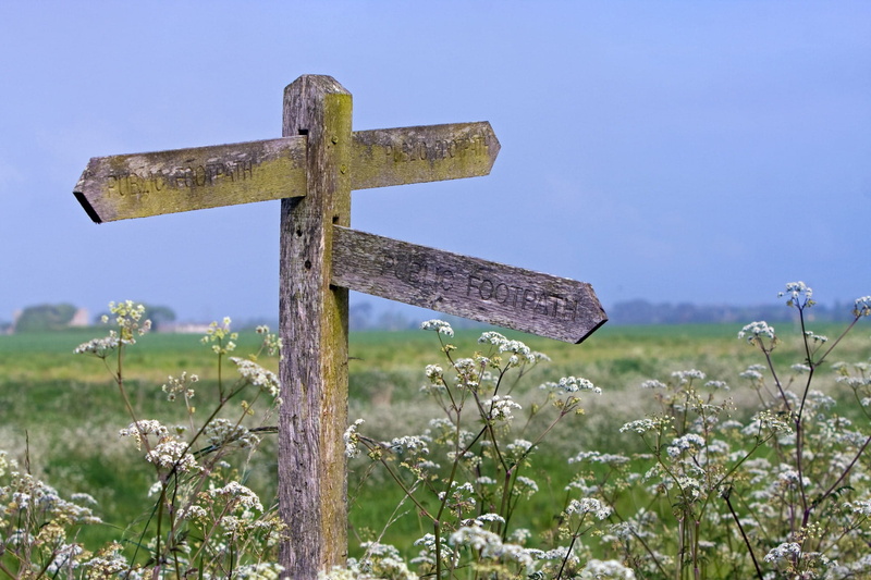 sussex, religion, flower, symbol, land, belief, letter, wooden, english, beautiful, tranquility, signpost, image, sky, field, grass, focus on foreground
