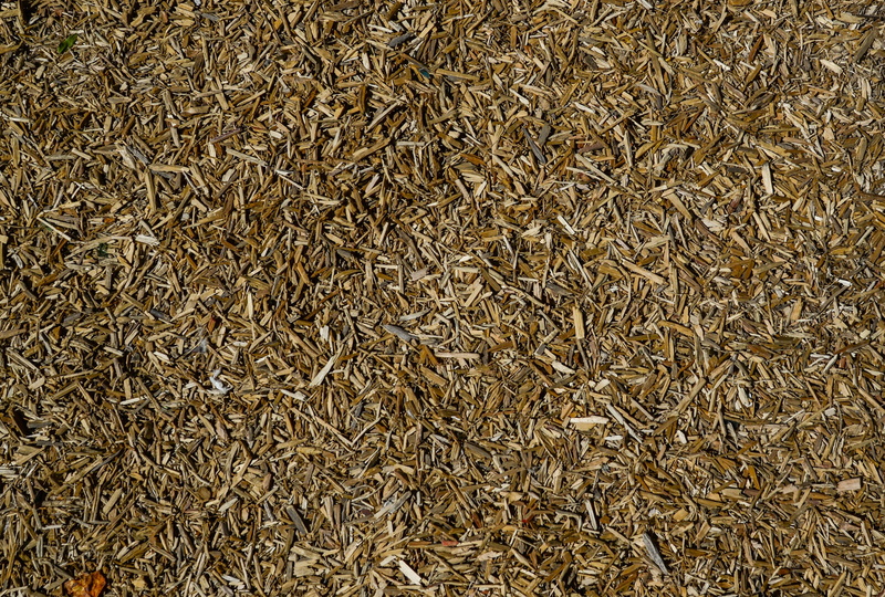 directly above, timber, chips, high angle view, pattern, wood, close-up, cereal plant, lumber, textured, carpenter, natural, no people, indoors, material