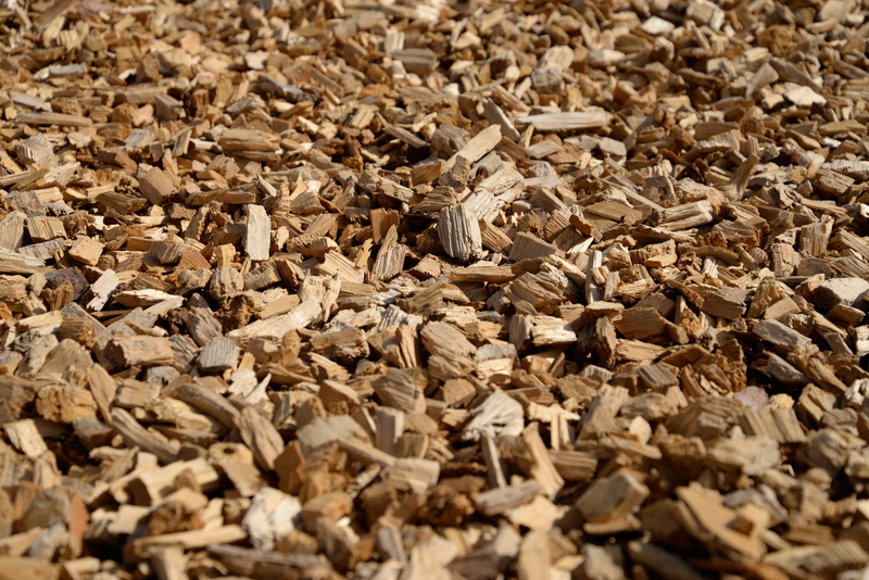 full frame, backgrounds, freshness, selective focus, abundance, close-up, high angle view, wood, nature, cut, 5K, large group of objects, seed, indoors