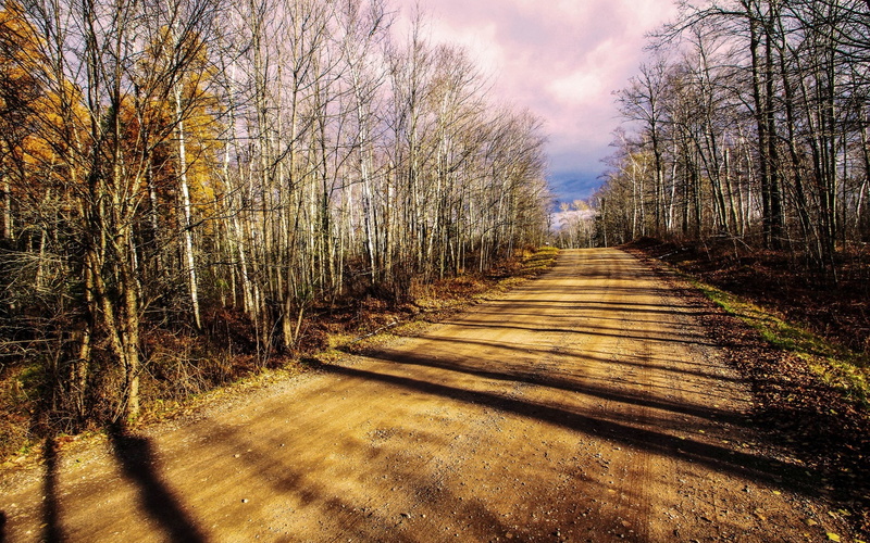 Forest, Trees, Road, 1080P, inlined, Sunlight, Clouds, Autumn, pathway