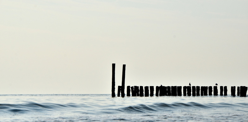 beauty in nature, post, wooden post, daytime, poles, wood - material, coastal, nature, ocean, sea, scenics - nature, tranquil scene, horizon, coastal management