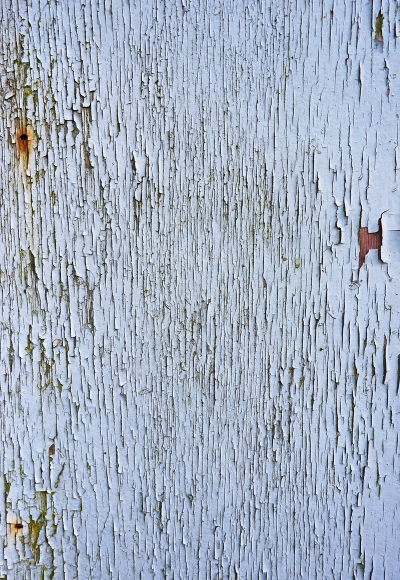 deterioration, 2K, full frame, close-up, grass, wall - building feature, weathered, wood, animal, paper, day, insect, textured, pattern, nature, no people