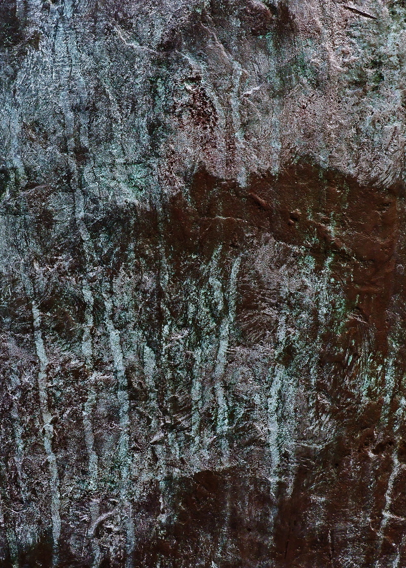 land, tree trunk, backgrounds, no people, day, woodland, built structure, old, pattern, frost, rug, wall - building feature, rough, forest, plant, nature