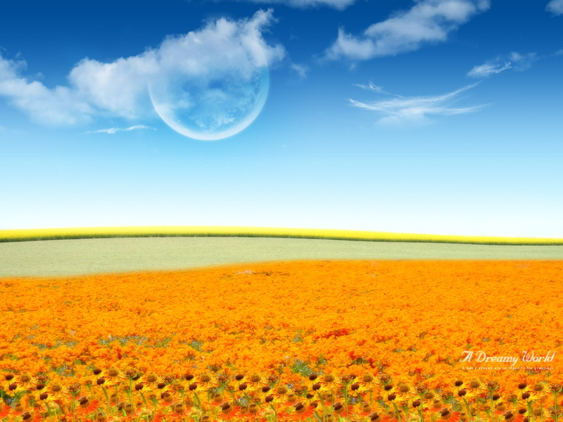 flower, dreamy, 720P, world