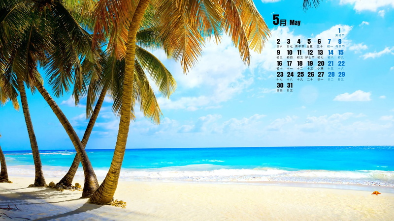 desktop, sand, outdoors, plant, sea, land, tranquil scene, palm leaf, sky, tropical climate, beach, tree, calendar, beauty in nature, no people, nature
