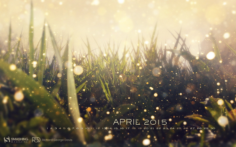 selective focus, outdoors, growth, day, april, hidden, dew, green color, wet, plant, rainy season, garden, magic, water, field, drop, calendar, no people