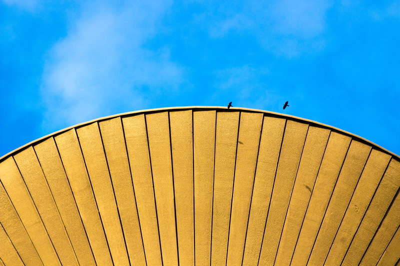 environment, black bird, umbrella, day, flying, flying high, no People, daytime, pollution, nature, 5K, blue sky, leisure activity, building, two, sunny