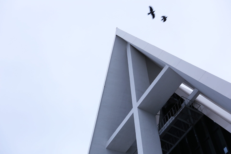 roof, animal, window, connection, banister, vulture, architecture, cathedral, triangle, building, vertebrate, railing, norway, tromsø, bird, animal wildlife