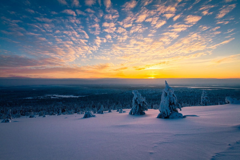 Sky, Snow, Sunrise, Forest, Horizon, Winter, Earth, Cloud, Nature, Tree, 1080P, Landscape